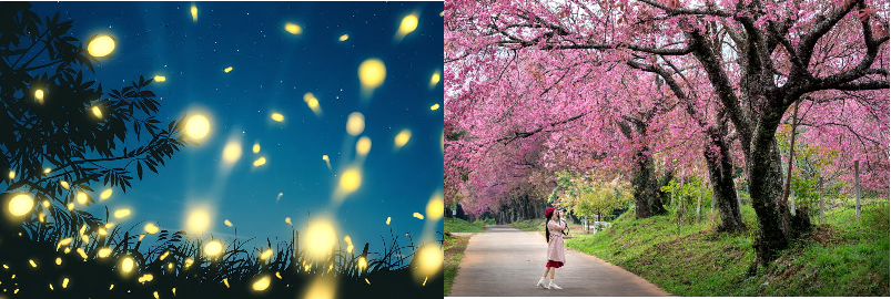 宿泊業の情報発信の仕方